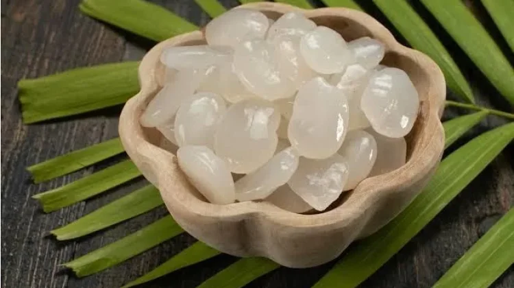 Kolang Kaling, Si Kenyal Sehat & Menyegarkan