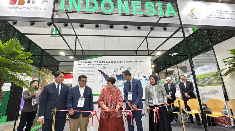 Indonesian Palm Biomass Expands Presence in Japan, Surpassing 5 Million Tons Annua