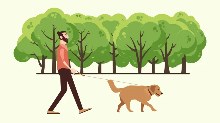 Rutin Ajak Anjing Jalan, Ini Manfaatnya!