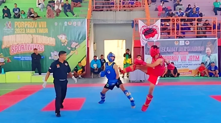 IBCA Sulsel Fokus Pengembangan MMA di Sulsel