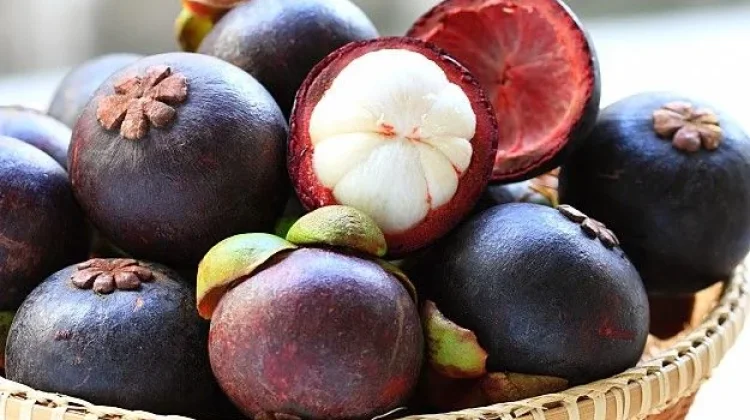 Manggis Banyuwangi, Si Hitam Manis