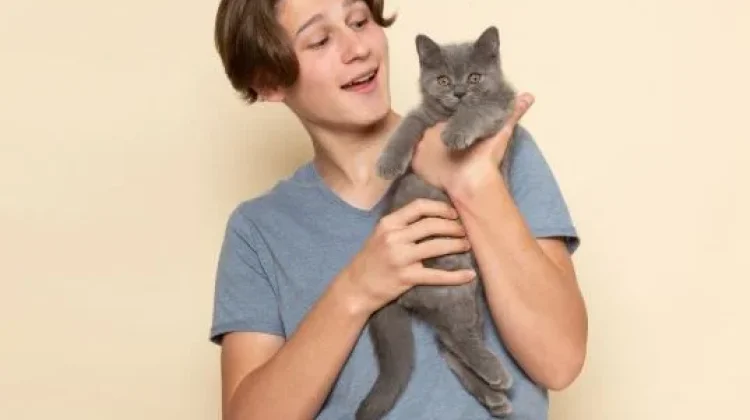 Tips Menggendong Kucing yang Nyaman bagi Kucing