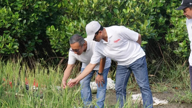 ITS-BRIDA Perkuat Riset Lingkungan di Kebun Raya Mangrove
