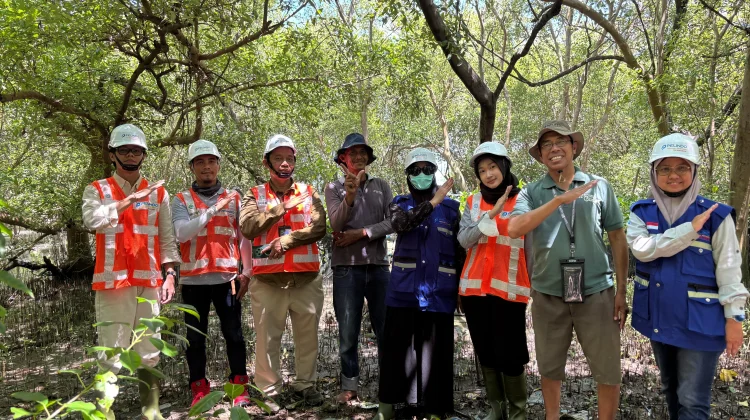 PT. TPS Lakukan Pelestarian Mangrove di Kawasan Pelabuhan Tanjung Perak