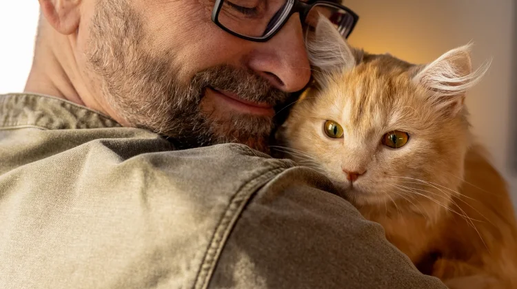 Kucing Diketahui Bisa Merasakan Emosi Pemiliknya