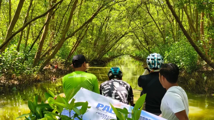 Jaga Pesisir Surabaya Palasdhika dan Polygon Tanam Mangrove di Kejawan