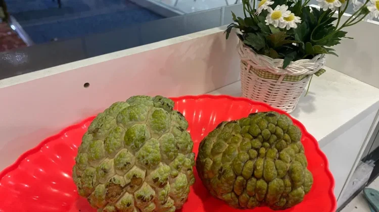 Srikaya Jumbo "Sultan" Jadi Sorotan