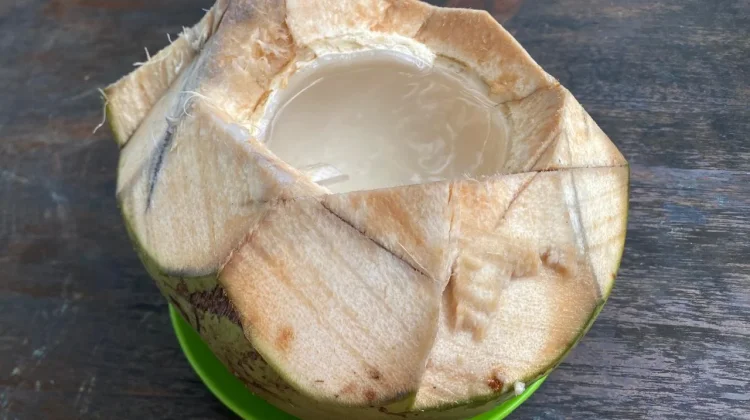 Menikmati Kesegaran Es Kelapa Muda Utuh saat Teriknya Surabaya