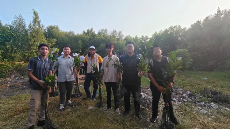 PII Jatim Tanam Ribuan Mangrove