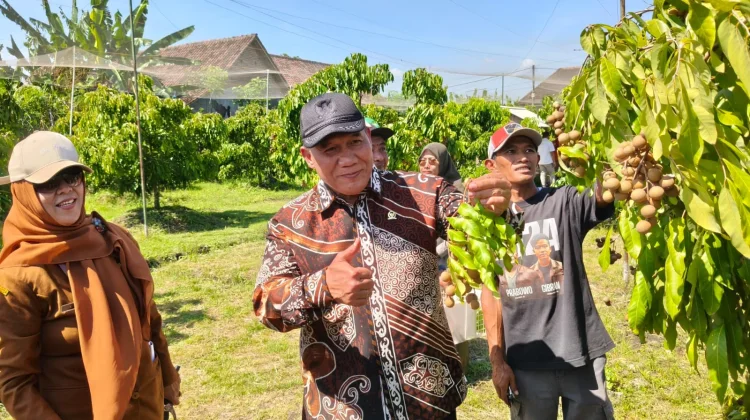 DPR RI Dorong Kebun Kelengkeng Tulangan jadi Wisata Edukasi