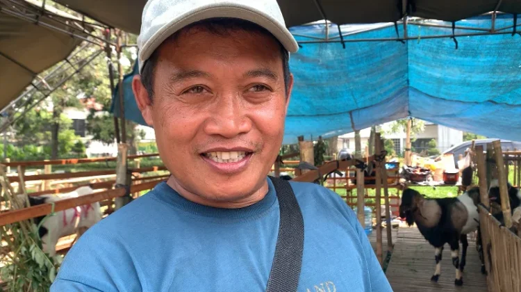 Menjelang Idul Adha 2026, Pedagang Hewan Qurban Raup Berkah