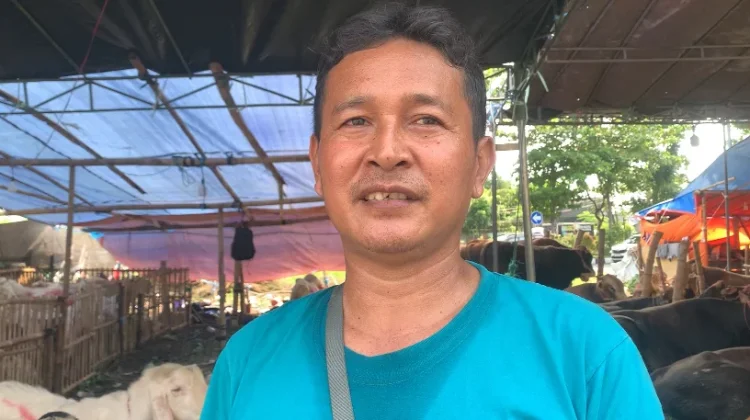 Penjualan Hewan Kurban Menjelang Idul Adha 1447 H Alami Penurunan