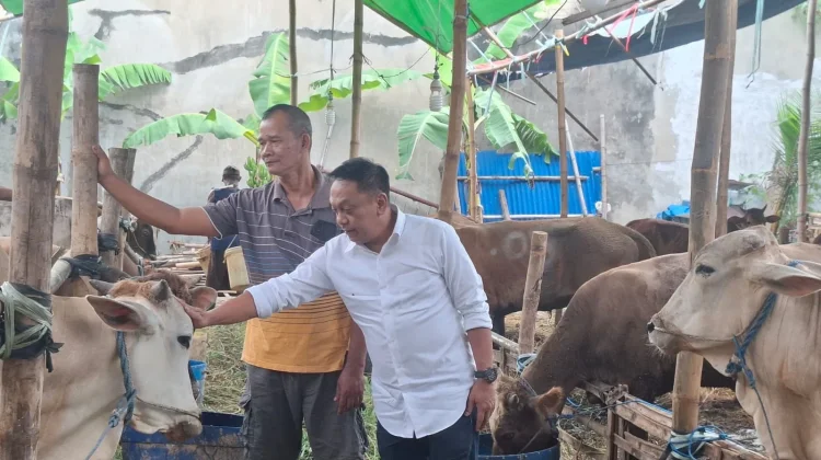 DPRD Surabaya Dorong Langkah Preventif Pasca Temuan Skabies Hewan Kurban