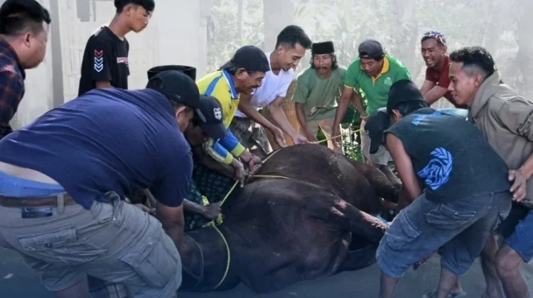 Ekonomi Sulit, Mayoritas Warga Indonesia Tetap Berkurban