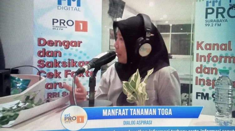 Tanaman TOGA, Warisan Kesehatan yang Menjadi Gaya Hidup Warga Surabaya