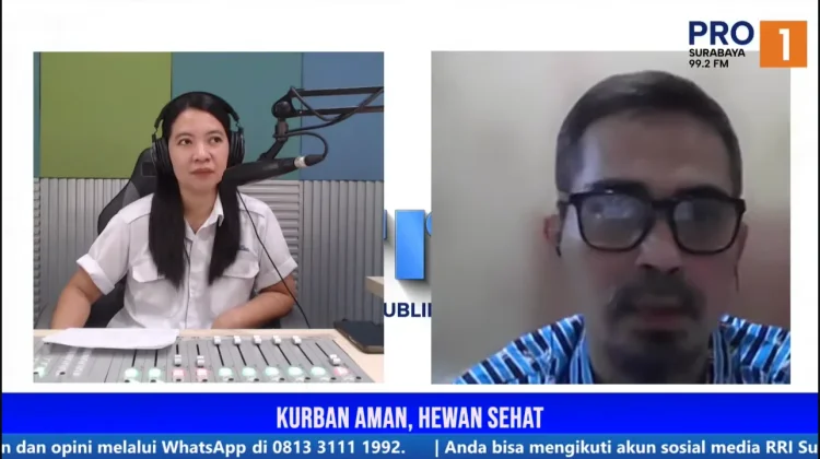 Antibiotika Hewan Kurban Jadi Sorotan