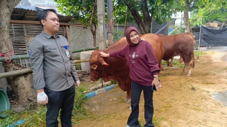 Wabup Sidoarjo Bagikan Ribuan Paket Daging Kurban