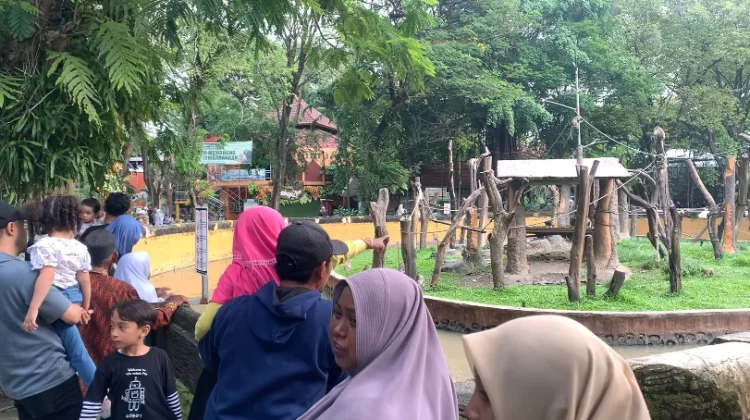 Periode Libur Idul Adha, KBS Catat Jumlah Kunjungan hingga 10 Ribu Pengunjung