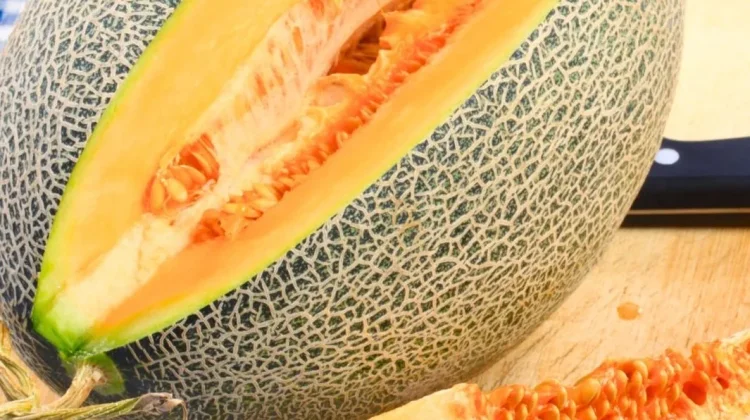 Melon Sweet Hamiqua : Melon Premium Super Manis & Crunchy