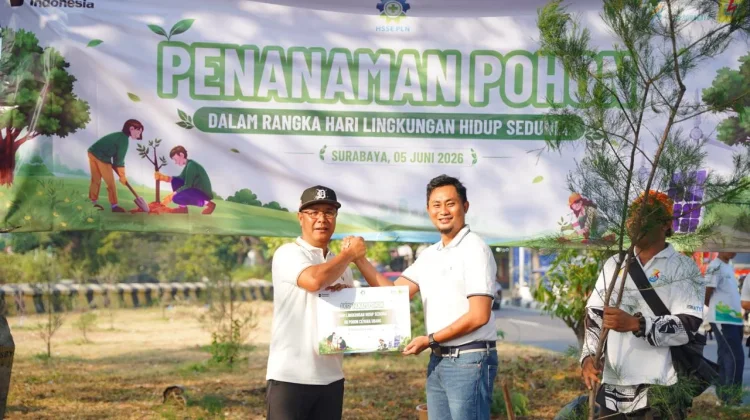 PLN UID Jatim dan DLH Surabaya Tanam 60 Cemara Udang, Perkuat Komitmen Jaga Iklim