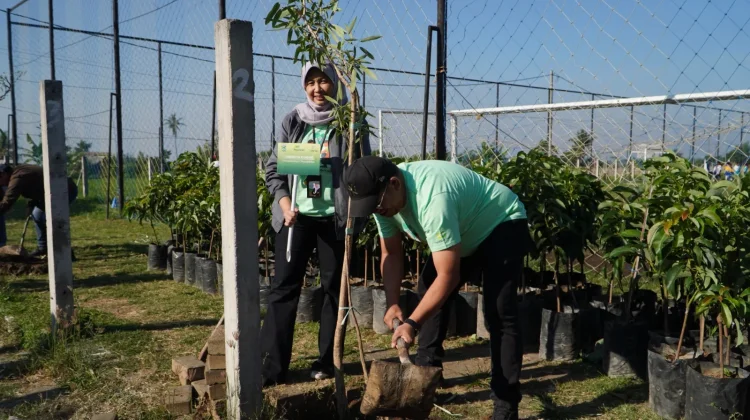 Pegadaian Kanwil XII Surabaya Perkuat Komitmen Hijau lewat Tanam 240 Pohon