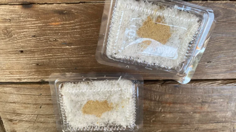 Kelezatan Klasik Ketan Bubuk: Kuliner Tradisional yang Tetap Eksis