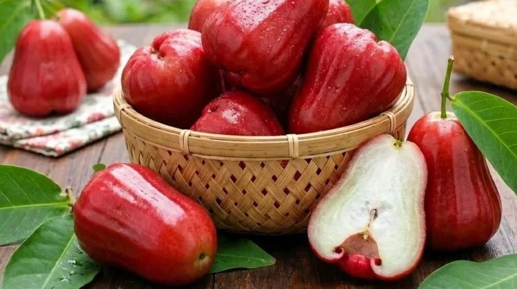 Jambu Citra, Buah Unggulan Indonesia, Manis dan Bernilai Ekonomi Tinggi