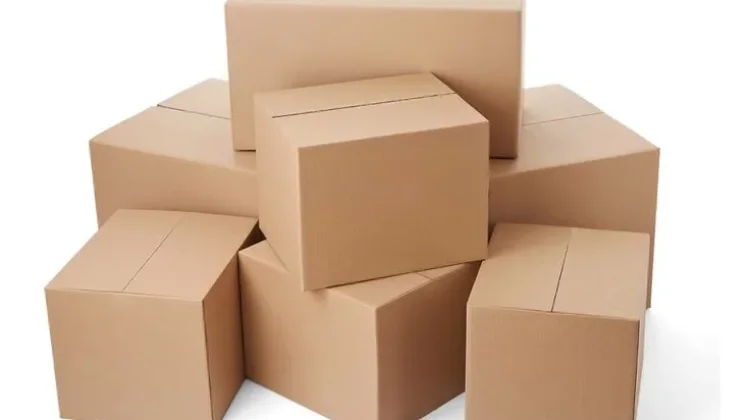 Kardus, Penemuan Sederhana yang Ubah Dunia Pengemasan