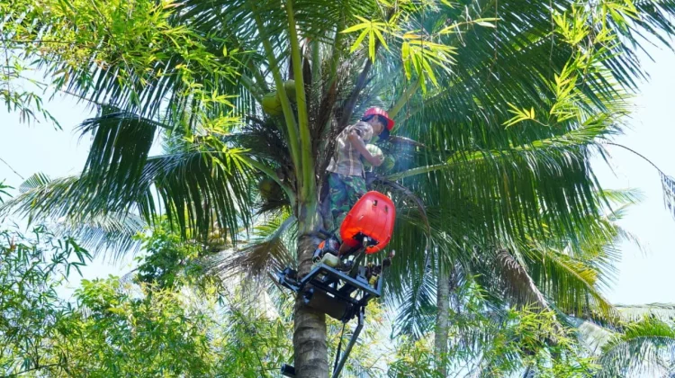 ITS Hadirkan Mocits Bantu Petani Kelapa Panen Lebih Aman