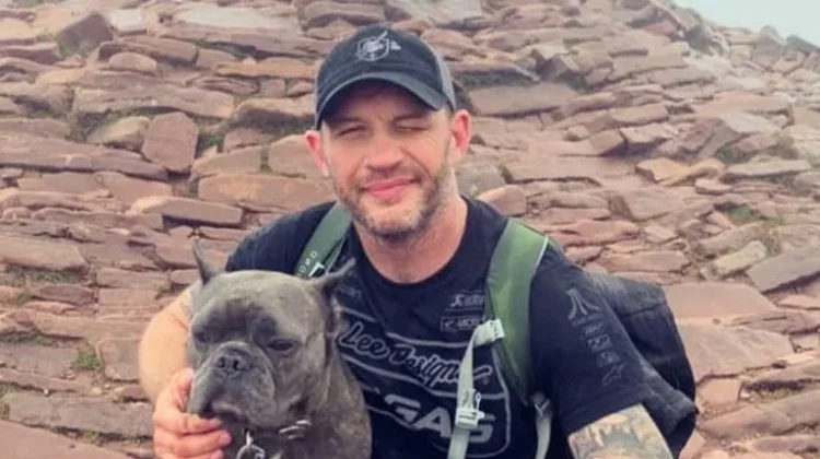 Tom Hardy Kembali ke Mobland Seasos 3