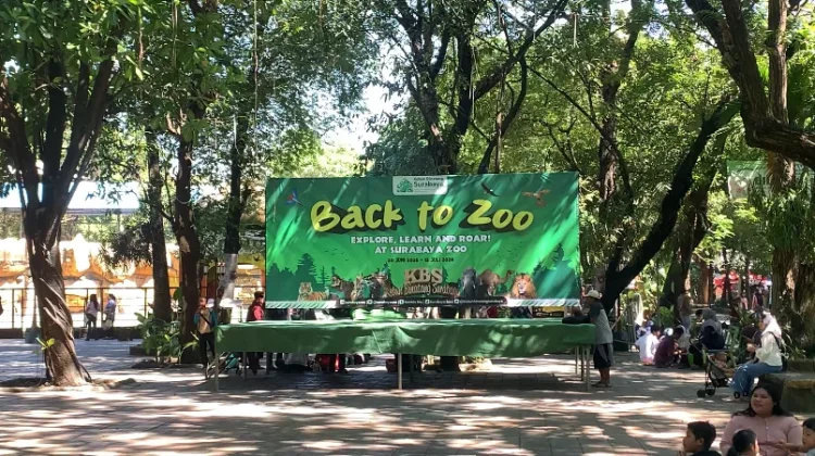 KBS Gelar Program “Back to Zoo”, Ajak Anak Peduli Satwa