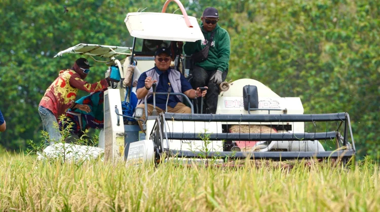 Serapan Beras  BULOG Jatim Lampaui Target