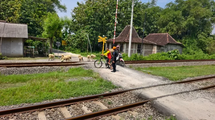 Aksi Pemotor Melintas di Rel, KAI Daop 8 Minta Warga Taat Aturan