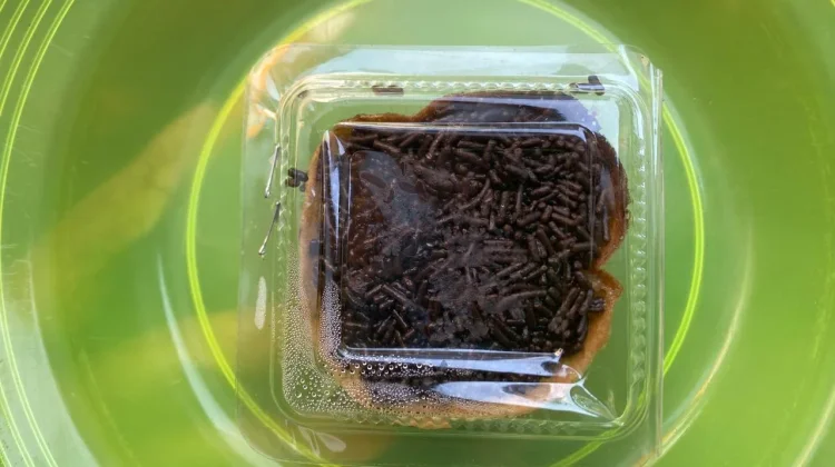 Menggoda Selera, Terang Bulan Mini Kemasan Praktis Jadi Primadona