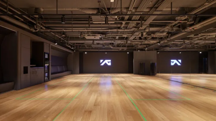Daftar Boy Group dan Girl Group Asal YG Entertainment yang Mewarnai Industri K-Pop