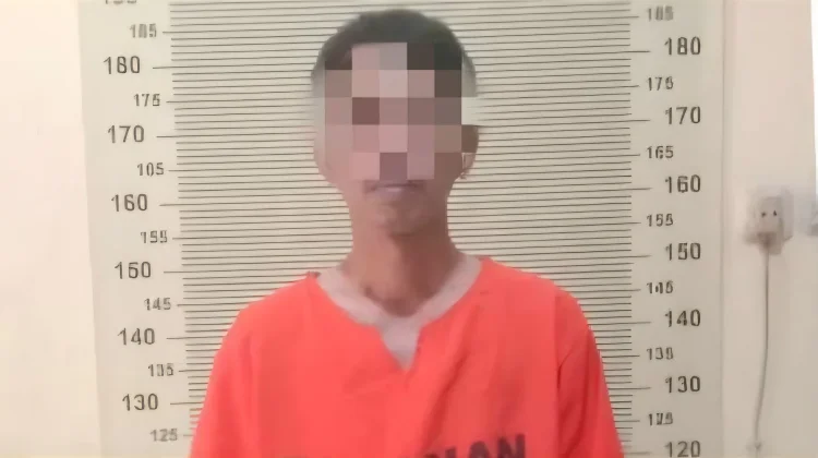 Kembali Lakukan Penipuan Jual Beli Mobil, Seorang Residivis Diamankan Polisi