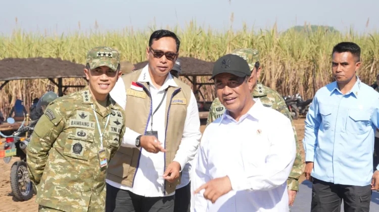 BULOG Perkuat Sinergi Ketahanan Pangan Lewat Panen Raya Serentak TNI