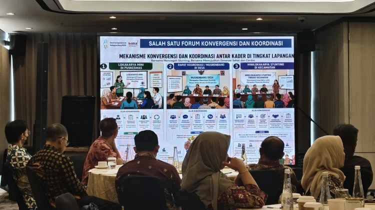 Kemendagri dan Kemendukbangga Perkuat Sinergi Turunkan Kematian Ibu