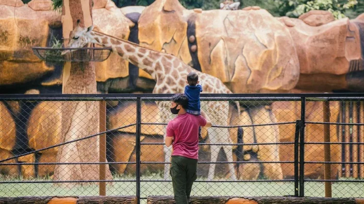 Pemkot Surabaya Seleksi 24 Calon Direksi Perumda Kebun Binatang Surabaya