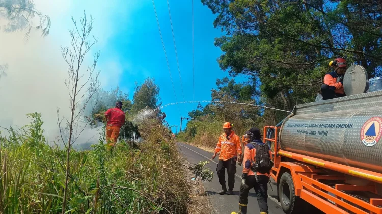 BPBD Jatim Kerahkan Drone Air dan Damkar Padamkan Karhutla Bromo