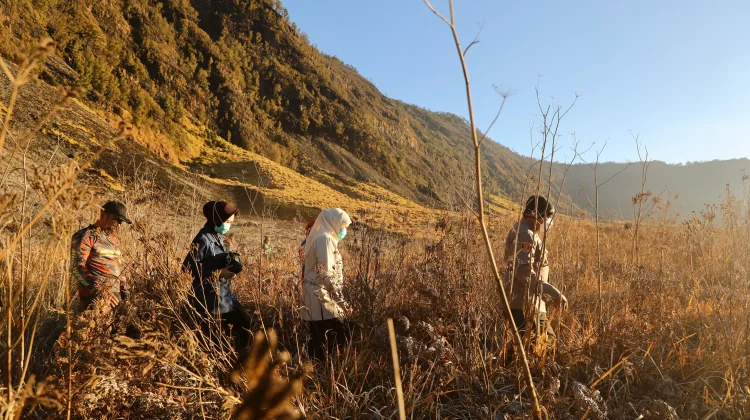 Gubernur Khofifah Pastikan Pemadaman Karhutla Bromo Terus Dioptimalkan