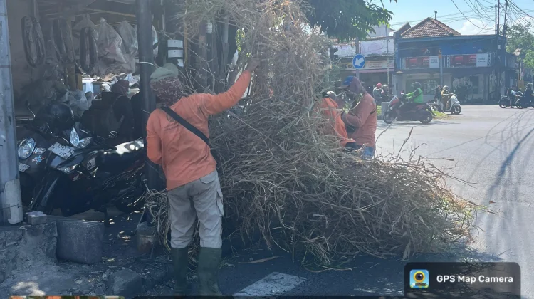 Aduan Alang-Alang Kering Langsung Ditindaklanjuti