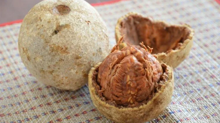 Buah Kawista, Si Buah Langka Khas Rembang yang Punya Cita Rasa Unik