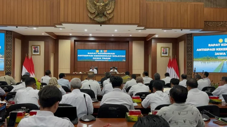 Seribu Hektar Lahan di Jatim Terancam Kekeringan, Kementan Siapkan Dua Strategi