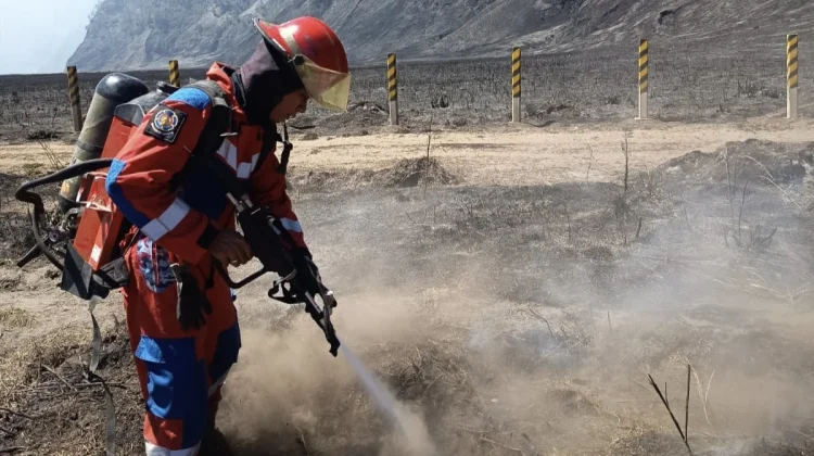 Damkar Surabaya Kerahkan Tim Bantu Padamkan Karhutla Bromo
