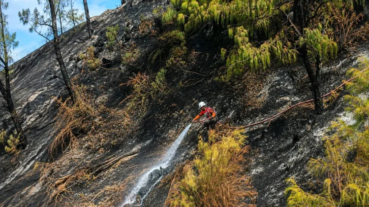 Karhutla Bromo Padam, Tim Gabungan Sisir Potensi Bara