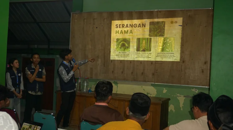 Mahasiswa UPNVJT Sulap Putung Rokok jadi Pestisida Nabati
