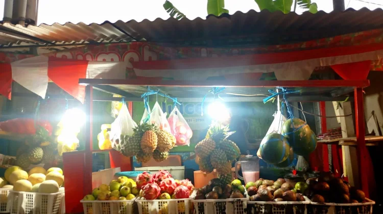Menjaga Kesegaran dan Kebugaran Tubuh lewat Segelas Jus Buah