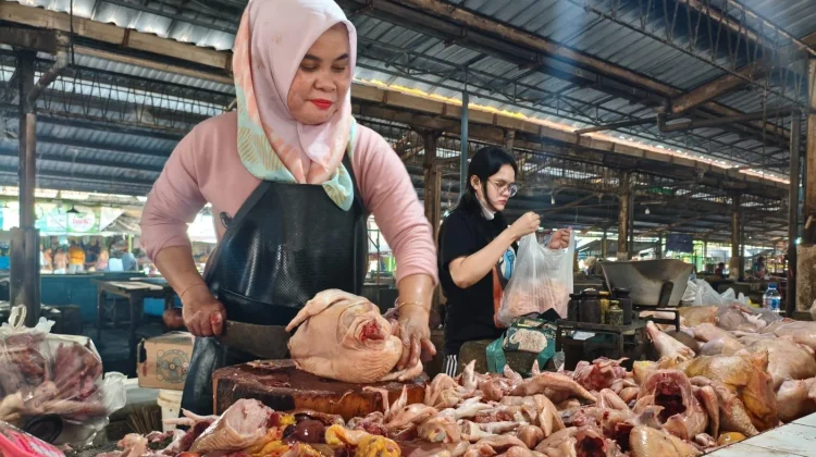 Maulid Nabi Dongkrak Harga Ayam di Pasar Porong