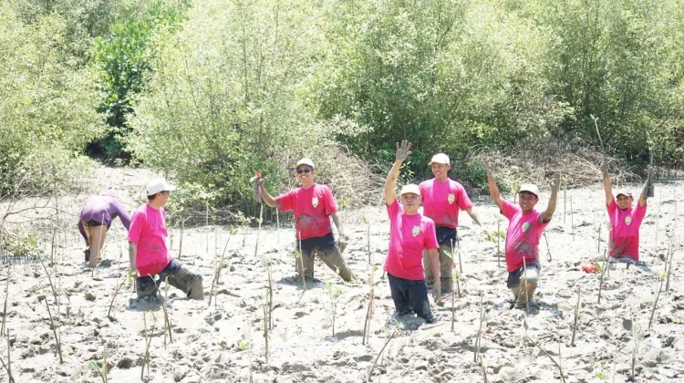 Pertamina Patra Niaga Tanam 1.000 Mangrove di KEE Ujung Pangkah